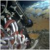 Aliens der Meere : photo James Cameron, Steven Quale