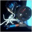 Aliens der Meere : photo James Cameron, Steven Quale