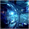 Aliens der Meere : photo James Cameron, Steven Quale