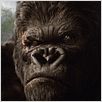King Kong : poster Peter Jackson