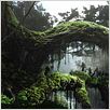 King Kong : photo Peter Jackson