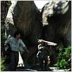 King Kong : photo Peter Jackson