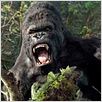 King Kong : photo Peter Jackson
