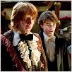 Harry Potter und der Feuerkelch : photo Daniel Radcliffe, Mike Newell, Rupert Grint