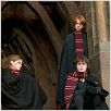 Harry Potter und der Feuerkelch : photo Daniel Radcliffe, Emma Watson, Mike Newell, Rupert Grint