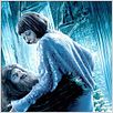 Harry Potter und der Feuerkelch : poster Frances de la Tour, Mike Newell, Robbie Coltrane