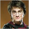 Harry Potter und der Feuerkelch : photo Daniel Radcliffe, Mike Newell