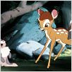 Bambi : photo Walt Disney
