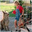Winn-Dixie - Mein zotteliger Freund : photo AnnaSophia Robb, Wayne Wang