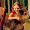 Winn-Dixie - Mein zotteliger Freund : photo AnnaSophia Robb, Wayne Wang
