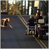 Dogtown Boys : photo Catherine Hardwicke