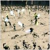Star Wars: Episode II - Angriff der Klonkrieger : photo George Lucas