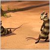 Ice Age 2 : photo Carlos Saldanha