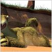 Ice Age 2 : photo Carlos Saldanha