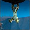 Ice Age 2 : photo Carlos Saldanha