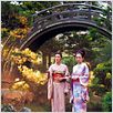 Die Geisha : photo Michelle Yeoh, Rob Marshall, Zhang Ziyi