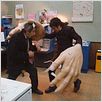 The Science of Sleep : photo Alain Chabat, Gael García Bernal, Michel Gondry