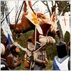 Die Ritter der Kokosnuss : photo Terry Jones