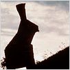 Die Ritter der Kokosnuss : photo Terry Jones