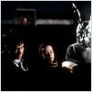 Donnie Darko - Fürchte die Dunkelheit : photo Jake Gyllenhaal, Jena Malone, Richard Kelly