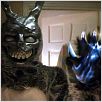 Donnie Darko - Fürchte die Dunkelheit : photo Richard Kelly