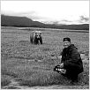 Grizzly Man : photo Werner Herzog