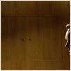 Hard Candy : photo David Slade, Ellen Page, Patrick Wilson