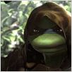 TMNT : photo Kevin Munroe