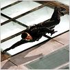Mission: Impossible III : photo J.J. Abrams, Tom Cruise