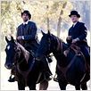 Die Ermordung des Jesse James durch den Feigling Robert Ford : photo Andrew Dominik, Jeremy Renner, Paul Schneider (III)