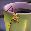 Bee Movie - Das Honigkomplott : photo Simon J. Smith