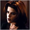 Wild Things : photo John McNaughton, Neve Campbell
