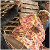 Big Mama's Haus 2 : photo John Whitesell, Martin Lawrence