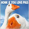 Schweinchen Wilbur und seine Freunde : poster Gary Winick