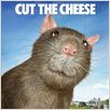 Schweinchen Wilbur und seine Freunde : poster Gary Winick