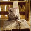 Schweinchen Wilbur und seine Freunde : photo Gary Winick
