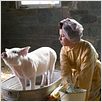 Schweinchen Wilbur und seine Freunde : photo Dakota Fanning, Gary Winick