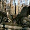 Eragon - Das Vermächtnis der Drachenreiter : photo Stefen Fangmeier