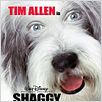 The Shaggy Dog : poster Brian Robbins, Tim Allen