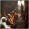 The Shaggy Dog : photo Brian Robbins