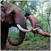 Revenge Of The Warrior : photo Prachya Pinkaew