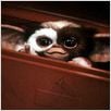 Gremlins - Kleine Monster : photo Joe Dante