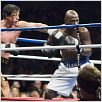 Rocky Balboa : photo Antonio Tarver, Sylvester Stallone