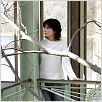 Das Haus am See : photo Alejandro Agresti, Sandra Bullock
