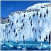 Happy Feet : photo George Miller