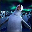 Happy Feet : photo George Miller