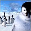 Happy Feet : photo George Miller