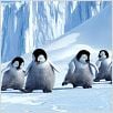 Happy Feet : photo George Miller