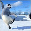 Happy Feet : photo George Miller