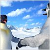 Happy Feet : photo George Miller